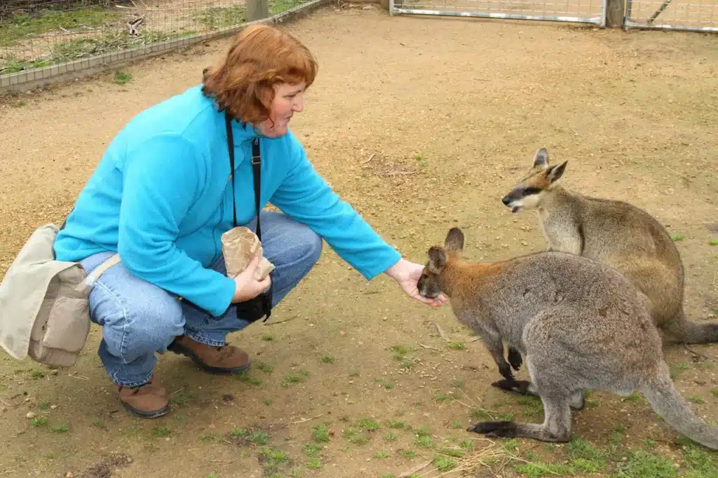 Halls Gap Zoo