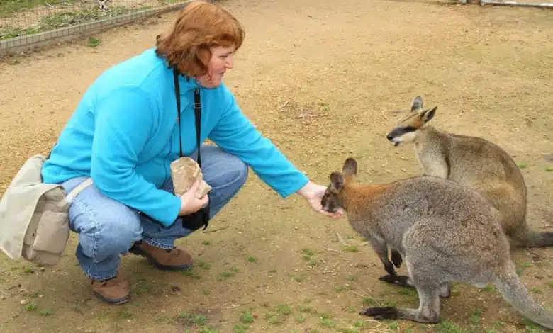 Halls Gap Zoo